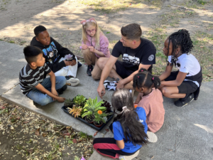 Volunteer to teach